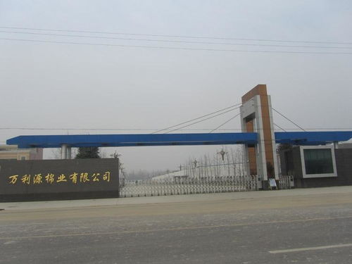 貴州萬利源計(jì)算機(jī)系統(tǒng)集成 驅(qū)動數(shù)字化轉(zhuǎn)型的專業(yè)力量